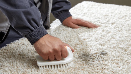 Professional Rug Cleaning Ormond