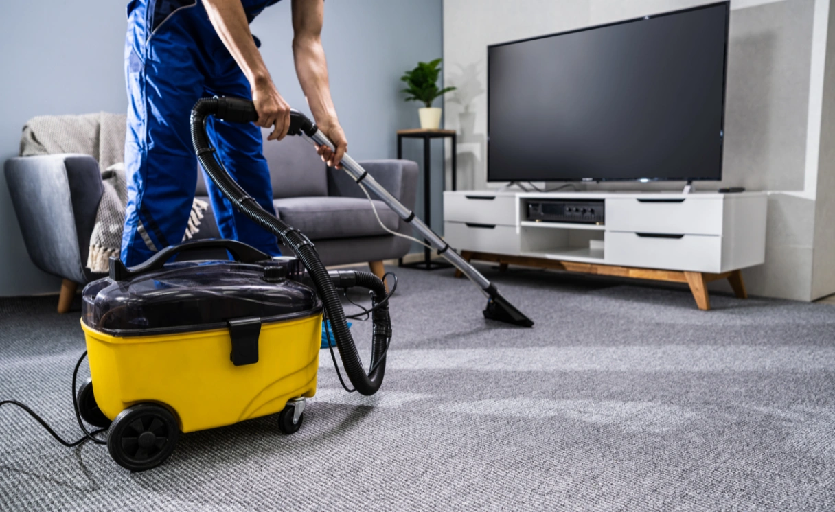 Extract Rug Cleaning Ormond Contact Office